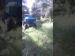 Tipo di pneumatico agricolo Trattore a olio di palma a motore diesel