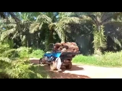 Sistema idraulico Macchina trattore di olio di palma per l'estrazione efficiente di olio di palma