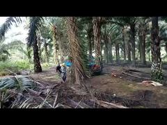 trattore dell'olio di palma dell'interasse di 2150mm con capacità agricola del serbatoio di combustibile della gomma 11L