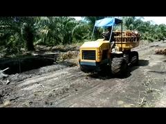 Mini-trattore idraulico per l'agricoltura motore da 14 CV trattore di potenza per le piantagioni di olio di palma